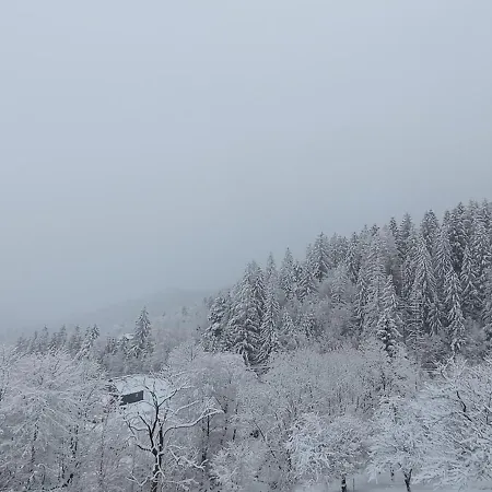 Melodiya Karpat * Yaremche