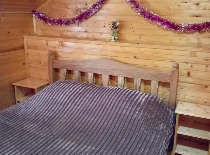 Holiday Melodiya Karpat Holiday home